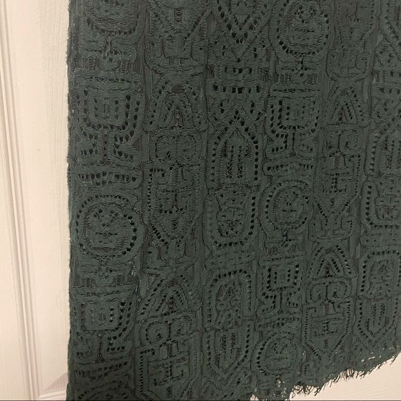 Ann Taylor Lace Pencil Skirt - Picture 3 of 4